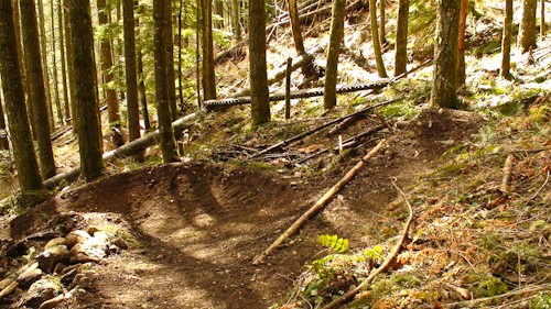 Right hander goes into a left hander, or right line option. Right line will be a small jump under a tree, left line is 2 sweeping berms.