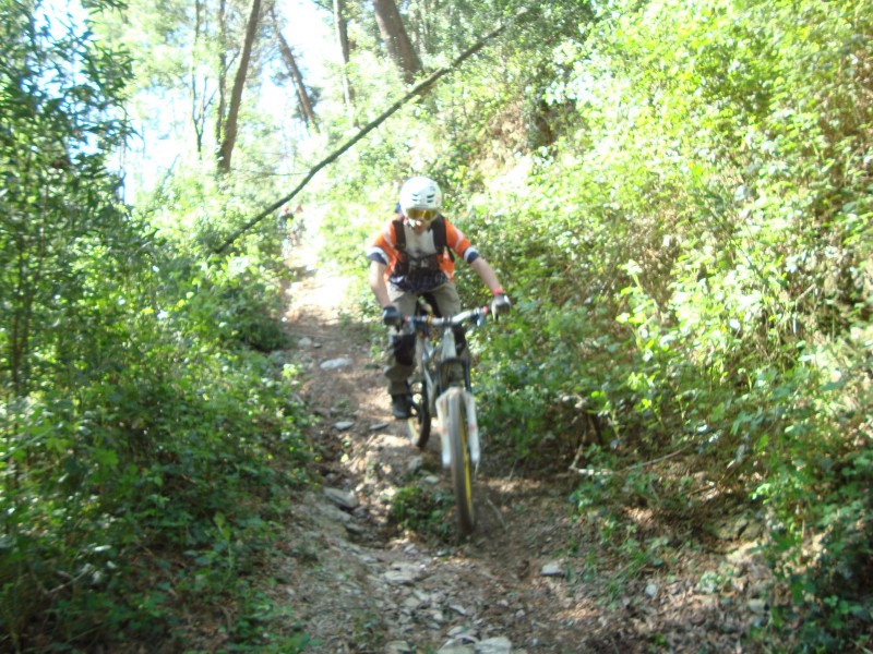 All Trail in Albergaria A-Velha