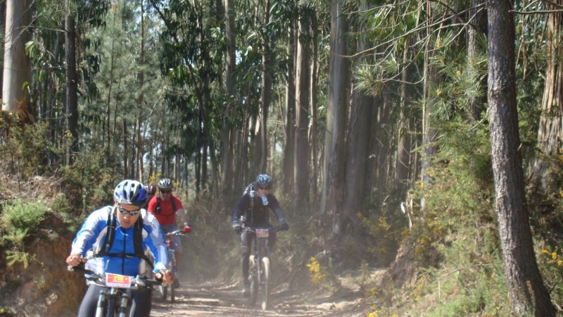 All Trail in Albergaria A-Velha