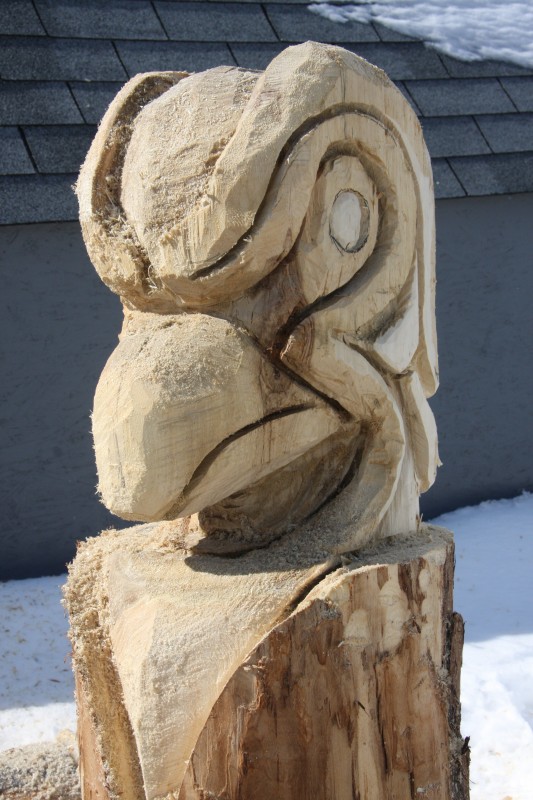 carving a bird in my backyard. nice day, snow is melting, what else ya gonna do?