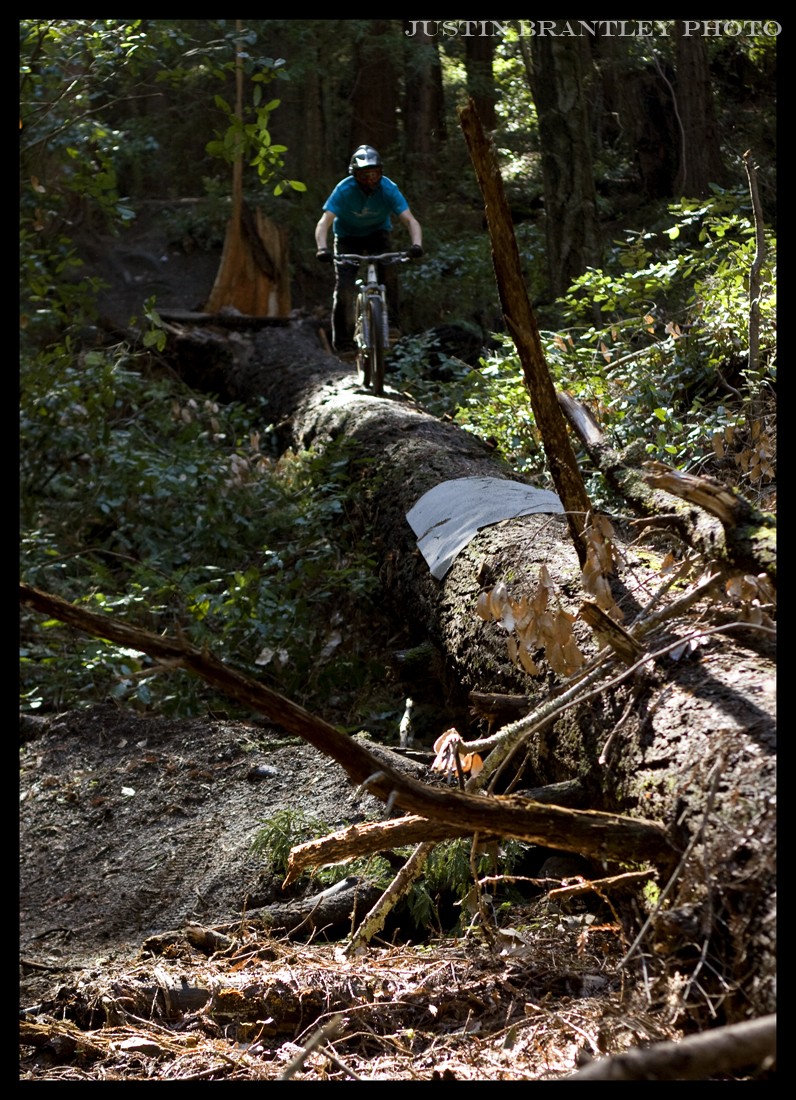 Big ass log ride!
Photo: Justin Brantley