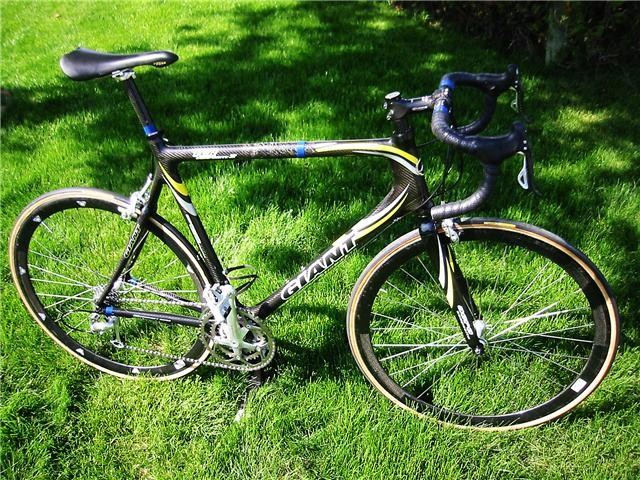 Giant TCR2 Large For Sale