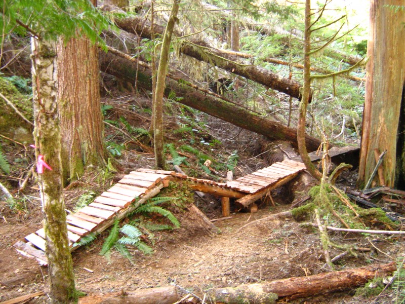 Roller bridge at the burnt out cedar. We kept the original black bridge but added a new exit and entry.
