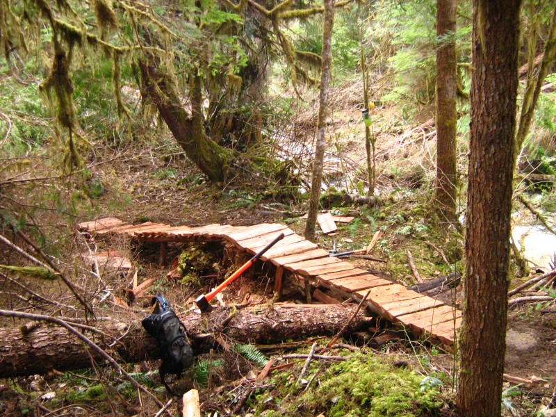 Finished cedar bridge over a log, a ditch, a stump and a wet drainage area. About 27ft long.