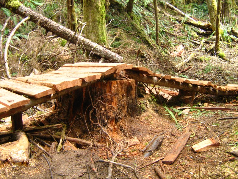 The old stump was still very strong and other supports provide rigidity. ALL cedar-even the stump.