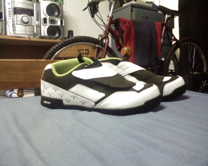 My new Shimano Am-40's these damn things took 2 and a half months to come in!. Sorry about the crappy phone pics.