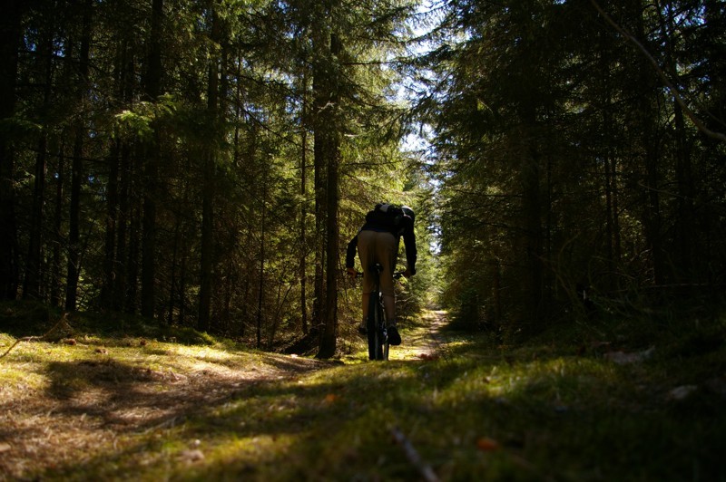gone for some awesome trailriding in Vääna-Jõesuu. my bike is a true all-rounder. proven.