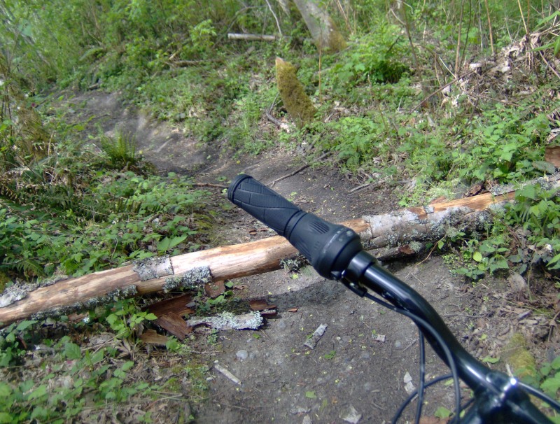 Trail with log in the way