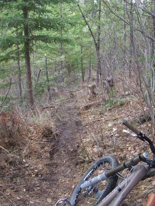 Part of a new trail I'm building right now. Some singletrack, old logging roads, deer tracks.... 15 km cross-country loop close to home.