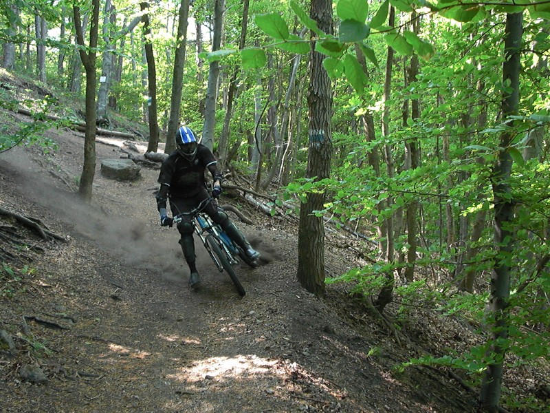 Husarentempel Trail - schwer Mountain Biking Trail - Mödling