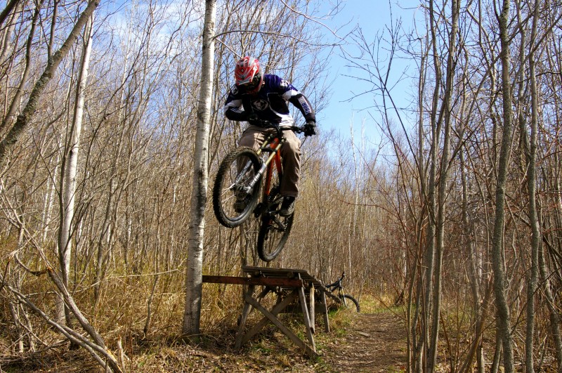 riding the freeride trail