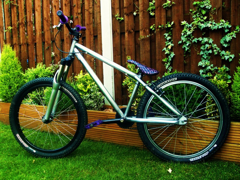 budget dirt jump bike