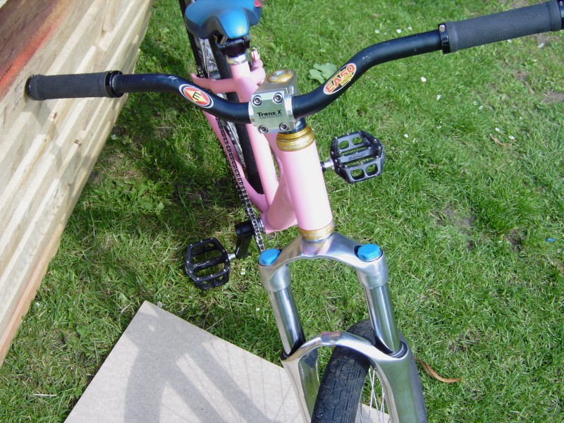 custom build azonic frame, custom bubble gum pink spray job, marz dj2, gussett waffen cranks, v12 pedals, hope headset, funn seatpost an 24/7 seat, sun single track rim with dmr hub front, sun mtx withdmr 6 pawlhub rear, dmr transition 24 tyres, easton monkey bars.
all the work on this i have done myself as i build and repair bike as well as spray them.