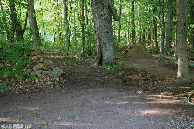 Entrance to the trails. Big set on the right, small set to come on the left. Penis tree in the middle! :)