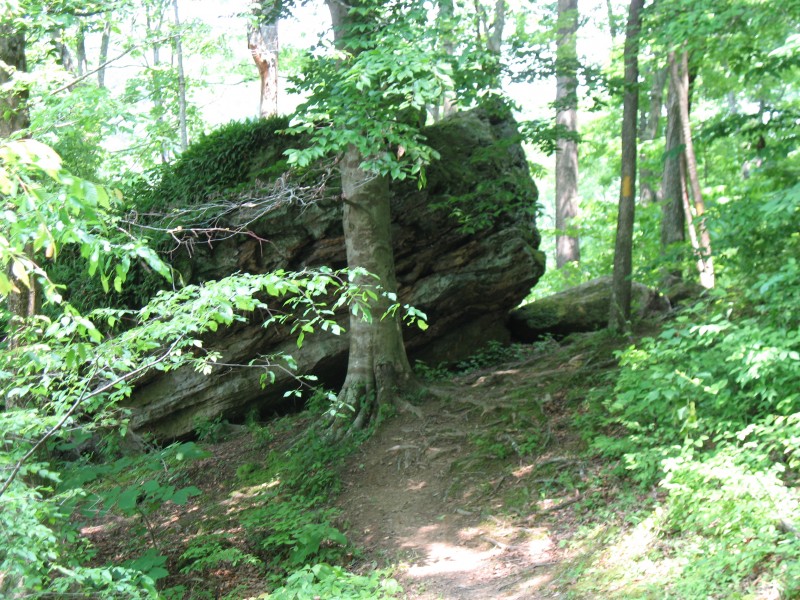 rock along the trail