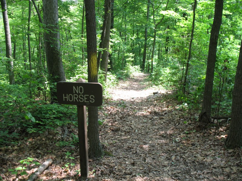part of the trail