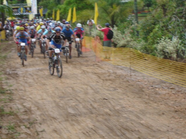 Vinhedos - 1ª etapa  inter 2006