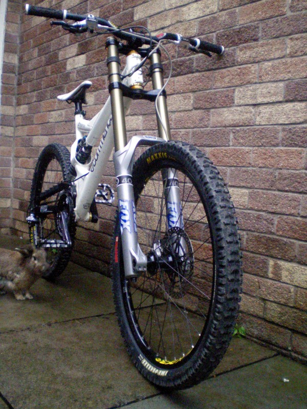 Front of the New Commencal Supreme Team with the rabbit lol