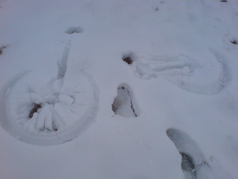 My bike print that was left in the snow + feet prints.