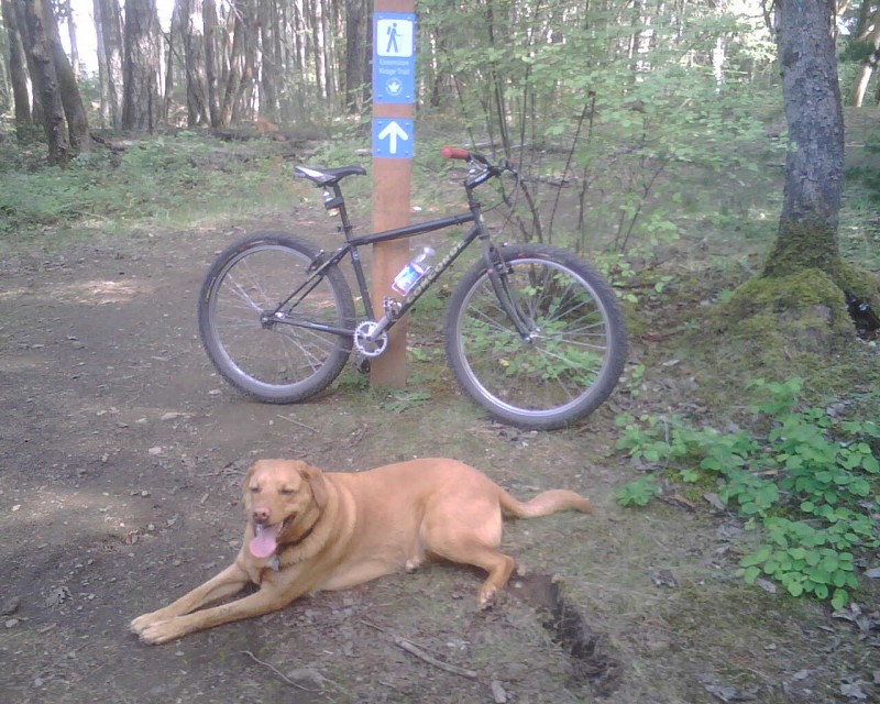 Rupert and the single speed taking a breather