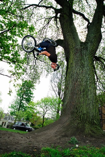 Not My Photo. Danny Macaskill doing a flair of a tree.