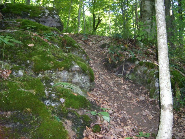This is what we call,"The poop shute". A steep vertical drop that ends right a creek.