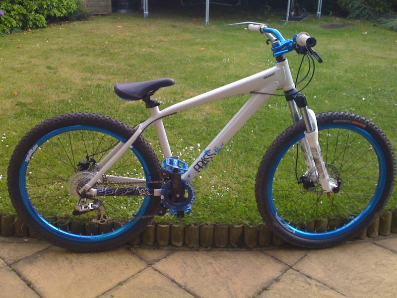 Giant Brass 1 with new Blue Spank Tweet Tweet Rims and White Halo Spin Doctor Pro Hubs and White Argyle 302's.