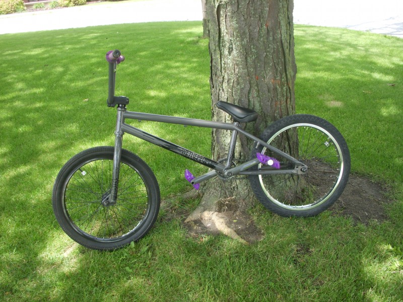 wtp addict 09 frame
wtp stock bars
wtp stock forks
wtp stock front wheel
wtp stock crank
odessey purple rain grip
odessey purple twisted pedals
primo the wall back tire 
wtp stock hub and rims
macniel pivotal seat and post