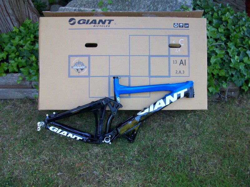 2009 Giant Glory DH frame 

BRAND NEW! $1100CAD