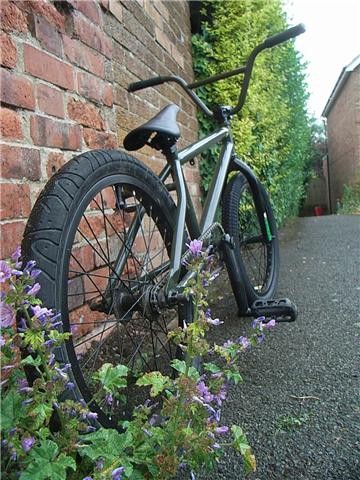 FBM Executioner Frame, Fly Bike 3 Amigos Bars, Eclat Webster Seat, Hookworm Rear Tyre, Odyssey PLyte Front Tyre, Eastern Dragon Fly Forks,Odyssey Plastic Pedals Twisted, Half Link Chain, what do you think of it ?