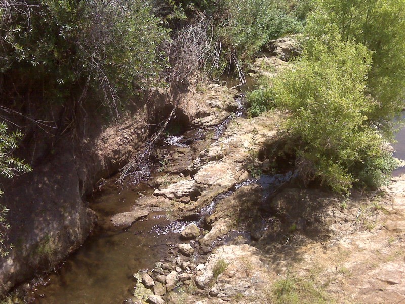 Little Creek that runs into Lake Hodges
