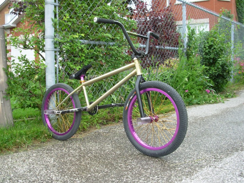 purple and gold bike