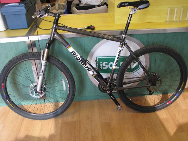 bianchi 29er