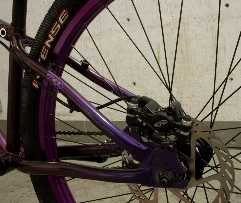2010 Norco 250 - Rear triangle.
