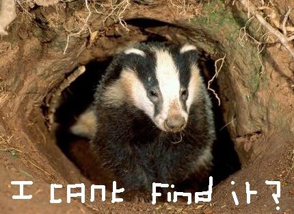 he still cant find it, the sketchy badger..