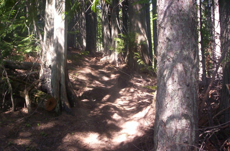 Power carve trail