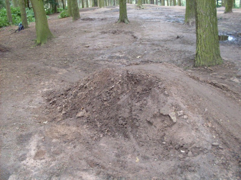 the table at the start