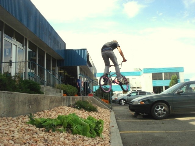180 over the flower bed