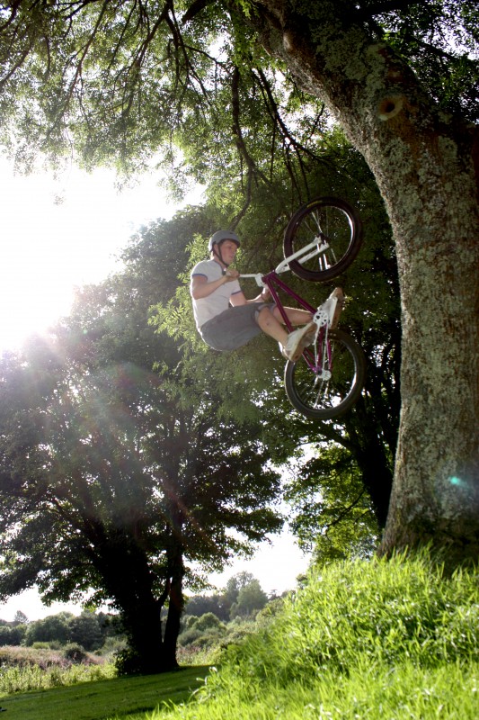 Tree Ride to Fakie