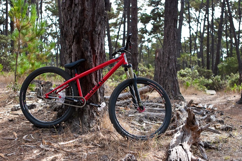 My bike in the woods