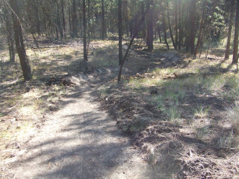 trail in progress in the smith creek area
