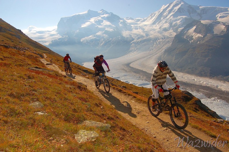 Big Mountain Bike Adventures,
Alpenrock DH II, Aug 09
ridebig.com