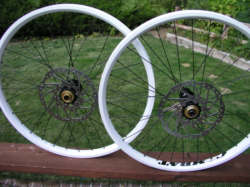 Halo Combat rims with saint hubs and DT swiss spokes