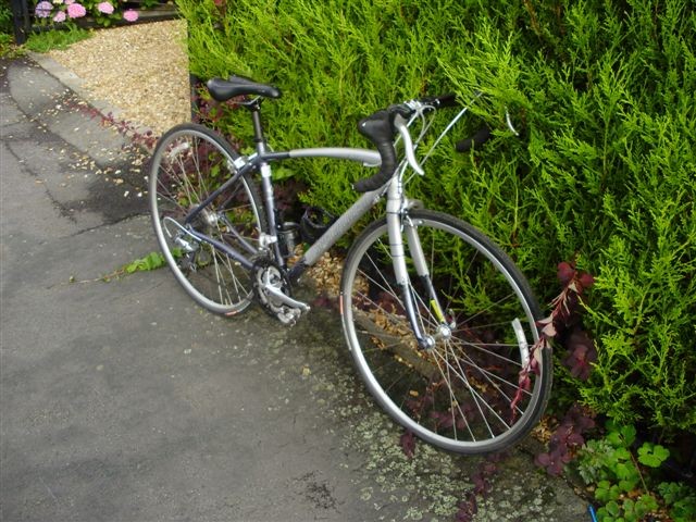 specialized dolce 51cm