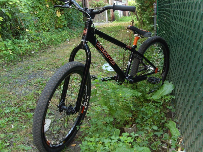 dk general lee 24 for sale