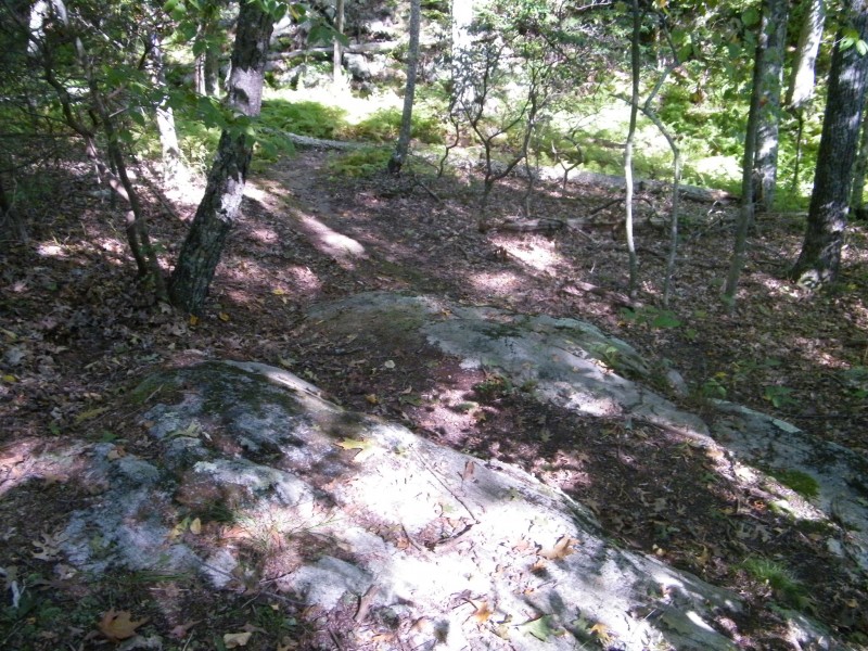 the second "rock drop" its two ledges about 1.5-2 feet each