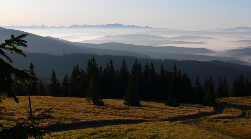 A breathtaking view from the Rysianka early morning in late September. Tatry Mountains in the background.