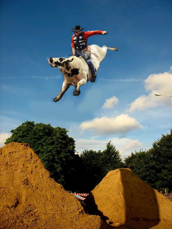 extreme bull jumping-new sport