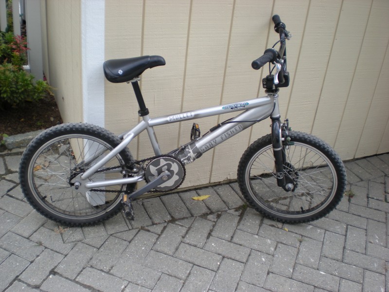 gary fisher bikes bmx