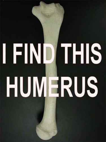 this humerus